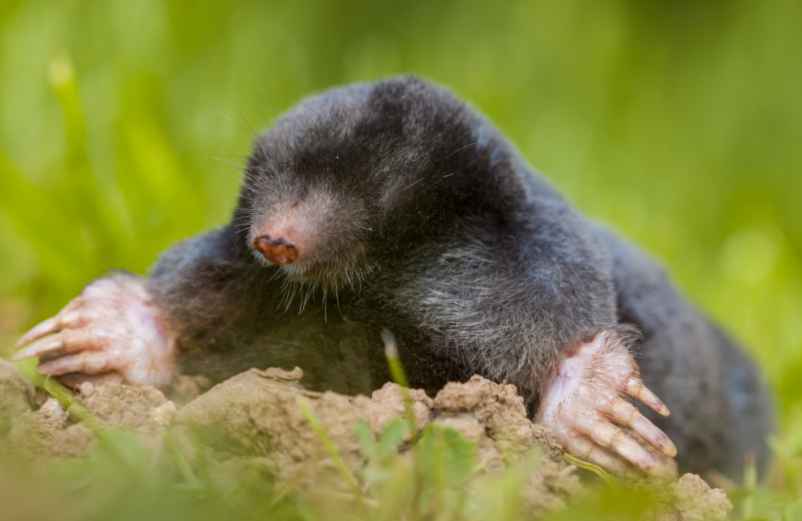 Quand et à quelle heure sortent