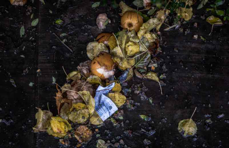 Que ne faut-il pas mettre dans un compost ?