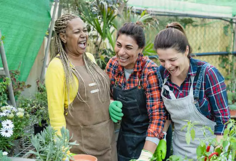 Comment aménager son jardin : Quelques conseils et astuces