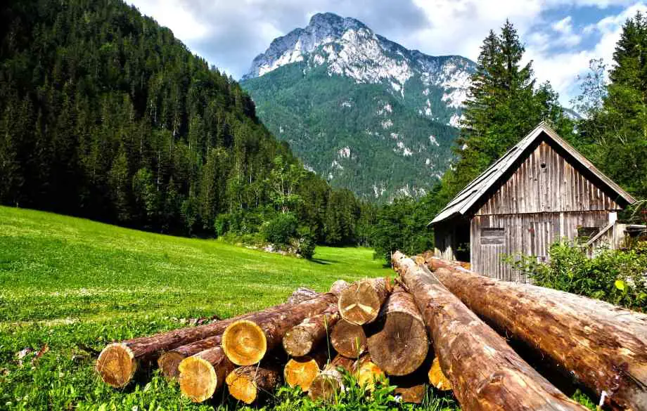 Quid de l’utilisation des bûches densifiées pour le chauffage au bois ?