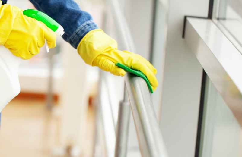 Se débarrasser des puces à la maison : méthodes efficaces et naturelles