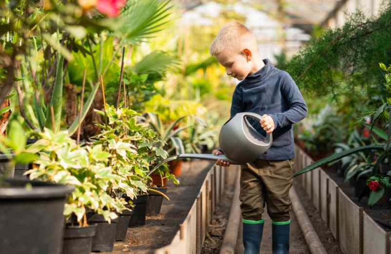 Planter en pot ou directement au sol ?