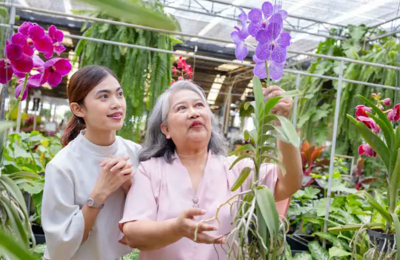 La fertilisation pour favoriser une floraison optimale La fertilisation pour favoriser une floraison optimale