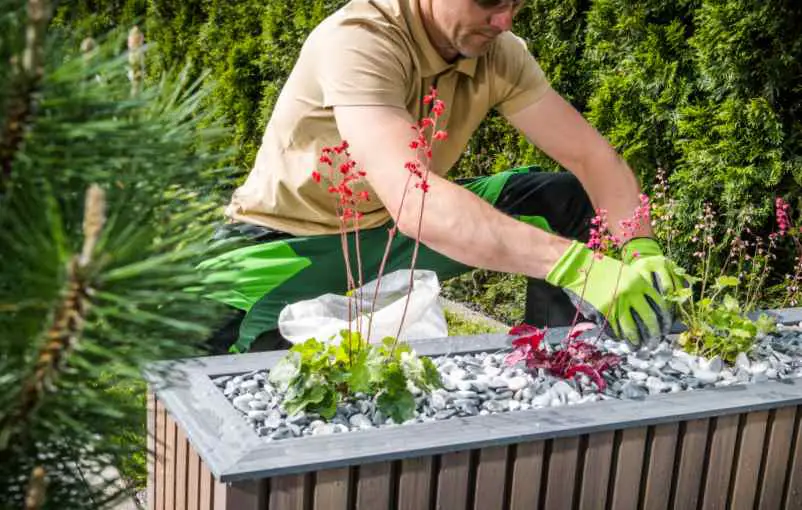 Avec quoi remplir sa jardinière en plastique ou en bois ?