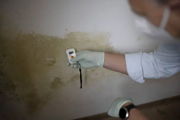 expert diagnostic humidité