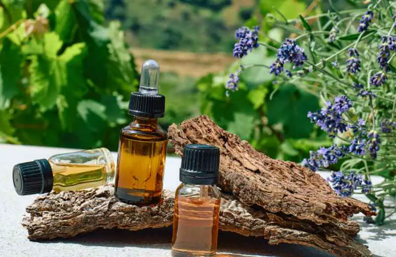 Dissuader les cloportes avec des huiles essentielles