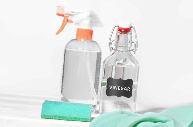 Faire fuir les cloportes avec du vinaigre blanc