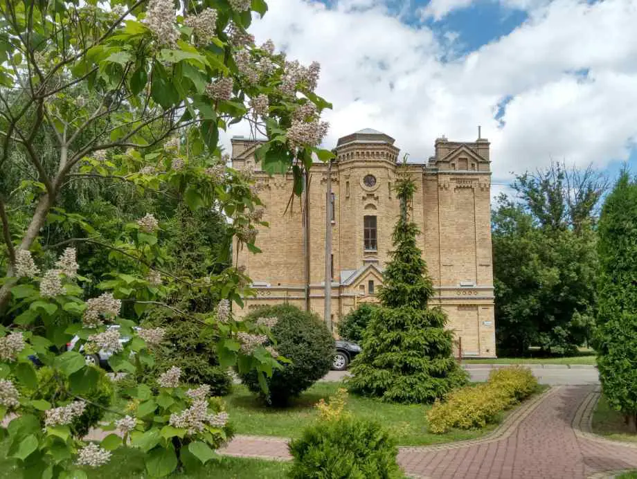 Arbre à croissance rapide pour ombre : les espèces idéales pour un jardin agréable-Maison Robert Tatin