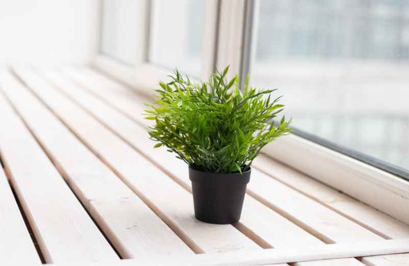 Que mettre sur un rebord de fenêtre extérieur ? Idées déco pratiques et résistantes