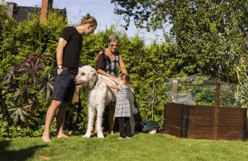 Pourquoi est-il interdit d’enterrer son chien dans son jardin ? Maison-Robert-Tatin