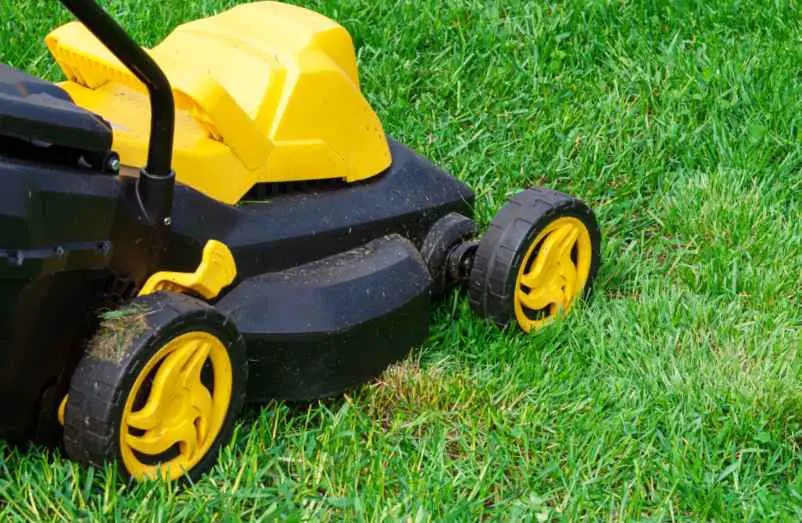 Quelles sanctions encourt-on en cas de non-respect des horaires de tonte ? Maison-Robert-Tatin
