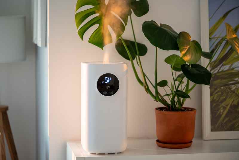 Station météo connectée : guide d’achat et comparatif des meilleures options Maison Robert Tatin