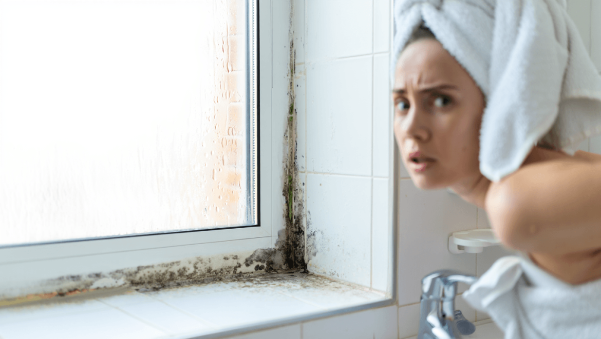 Condensation : pourquoi faut-il réguler la vapeur d'eau dans un logement ?