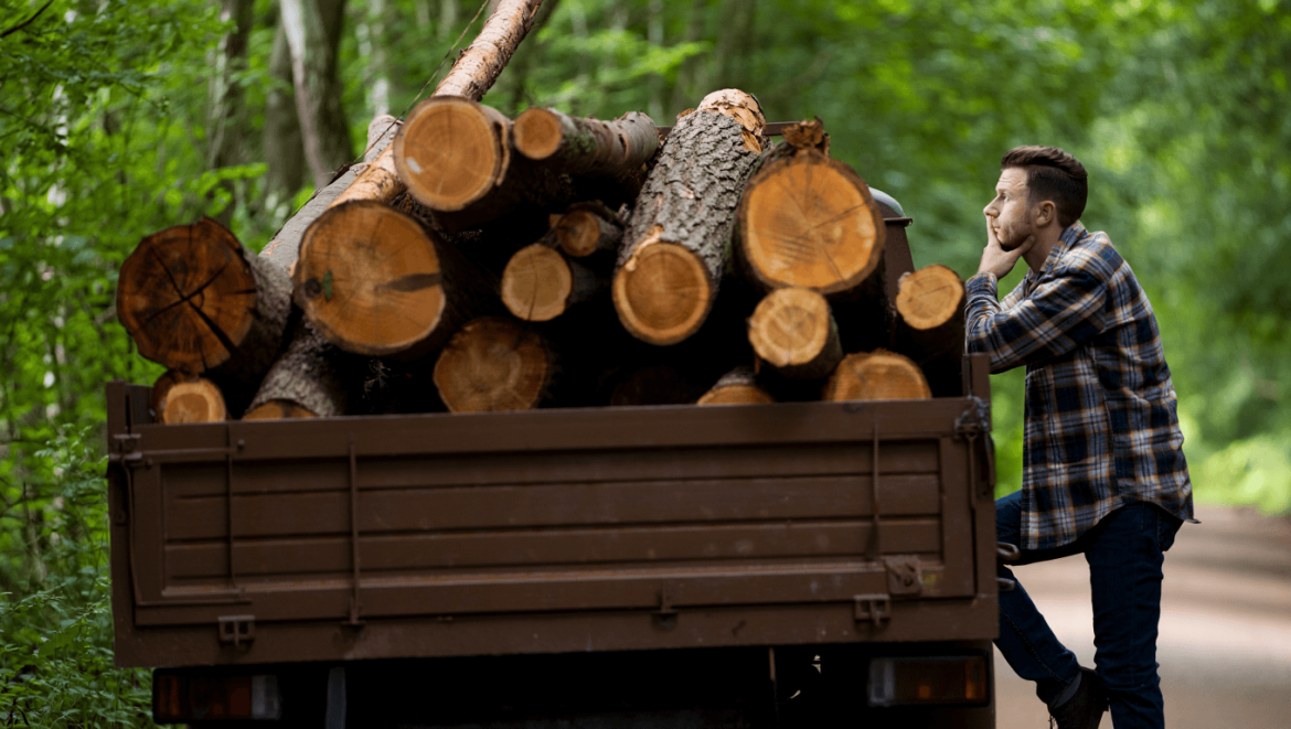 prix d'un camion de bois en grume