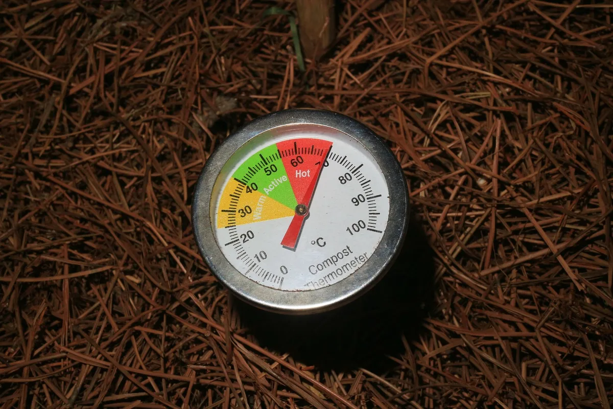Thermomètre mesurant la température du sol au printemps dans un potager