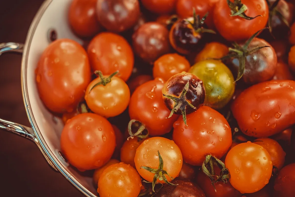 Personne triant un panier de légumes sur un plan de travail